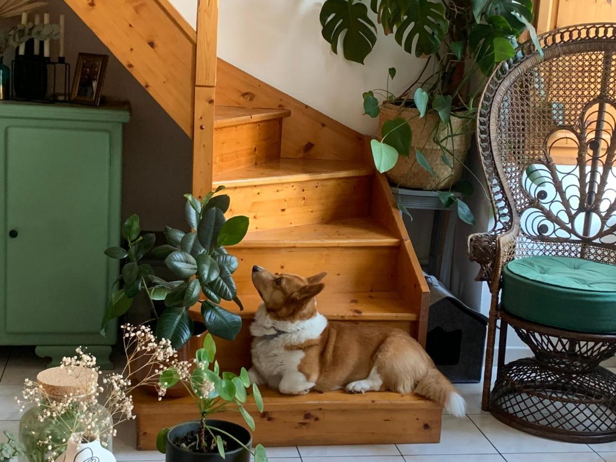 Chambre Avec Bureau Yvetot Centre エクステリア 写真
